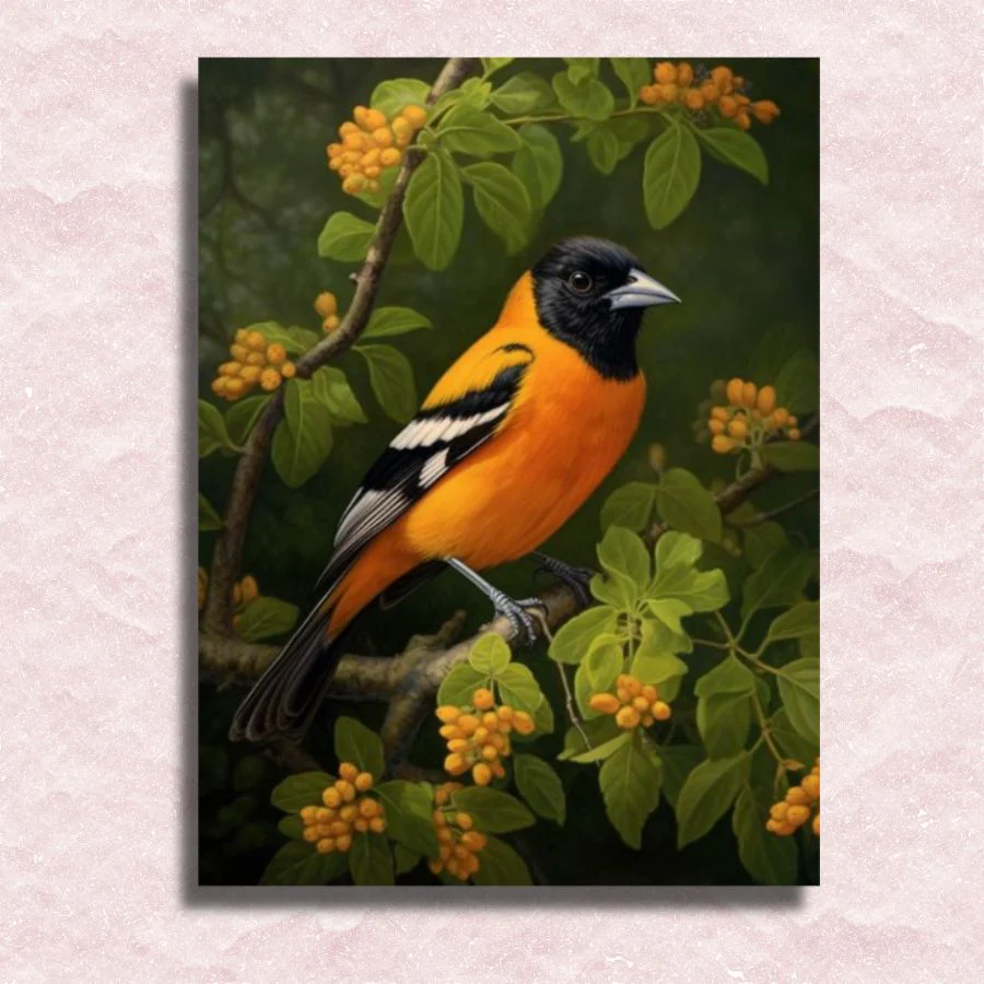 Baltimore Oriole - Paint by Numbers