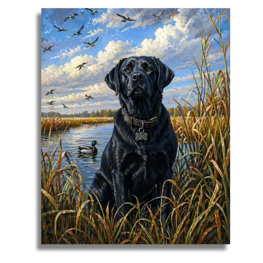 Black Labrador - Paint by Numbers
