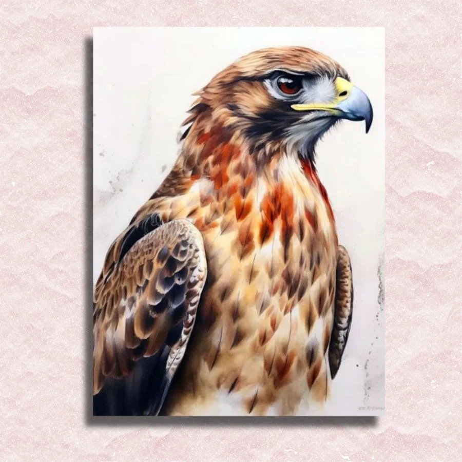Hawk Paint by Numbers