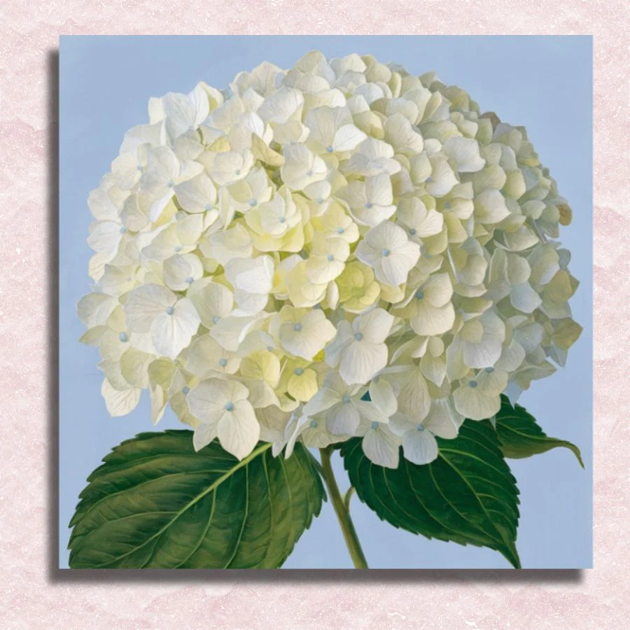Mini White Hydrangea